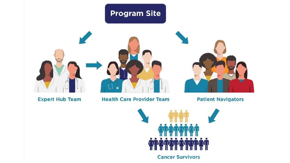 Components of Project ECHO at a program site; expert hub team, healthcare provider team, patient navigators, cancer survivors