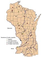 Thumbnail of Geographic distribution of study sites ranked by abundance of Ixodes scapularis in Wisconsin, northern Illinois, and Menominee County in Michigan.