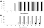 Thumbnail of Pathogenicity of genotype 2 (LBVSA2004 [white bars] and Mongoose2004 [black bars]) and genotype 1 (gray bars) lyssaviruses in mice. Results are percentages of dead animals observed for a specific period. Mice were observed for 56 days, but no deaths occurred after 18 days. A) Deaths after intracerebral injection of 103 50% lethal doses (LD50). B) Deaths after intramuscular injections of 105 LD50.