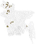 Thumbnail of Locations of 25 backyard farms where outbreaks of highly pathogenic avian influenza A virus (H5N1) infection occurred during March–November 2007 (red stars) and 75 control backyard farms (yellow circles), Bangladesh.