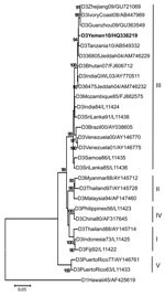Thumbnail of Neighbor-joining phylogenetic tree based on complete envelope gene sequences of dengue virus (DENV) serotype 3 virus, rooted with DENV-1. Bootstrap support values &gt;80 are shown. Boldface indicates the 2010 isolate from Yemen. Scale bar represents nucleotide substitutions per site. Virus abbreviations are dengue virus type/origin/year/GenBank accession number.