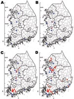 Thumbnail of Progress of highly pathogenic avian influenza (HPAI) outbreak by time, South Korea, 2010–2011. A) HPAI-positive cases identified from samples collected November 26–December 28, 2010 (wild birds, 6 cases). B) Cases identified by January 4, 2011 (wild birds, 10 cases; poultry, 2 cases). C) Cases identified by January 11, 2011 (wild birds, 13 cases; poultry, 23 cases). D) Cases identified by May 16, 2011 (wild birds, 20 cases; poultry, 53 cases). Blue circles indicate locations where H