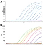 Thumbnail of Dynamic range of reverse transcription PCR for detection of oseltamivir resistance in influenza A(H7N9) virus. Amplification curves (ΔRn vs. cycle number) for serial dilutions of plasmid with 292K (mutant) or R292 (wild-type) neuraminidase (NA) fragments. ΔRN is change in signal magnitude (reporter signal minus baseline signal). Assay dynamic range was linear at template concentrations of 102–108 copies/reaction. A) Detection of NA 292K mutant strain with probe N9-K: slope = −3.388,