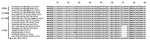 Thumbnail of Amino acid sequence alignment of the neuraminidase (NA) stalk region. The dark circle indicates the sequence characterized in this study. The abbreviations of the sequence names are as follows: ns, northern shoveler; wf, wild waterfowl; Ck, Chicken; Sb, shorebird; mal, mallard; wb, wild bird; HK, Hong Kong; JX, Jiangxi; ZJ, Zhejiang; SH, Shanghai.
