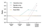 Thumbnail of Changes in virus-to-host nucleic acid signal-to-noise ratio during development of tissue-based universal virus detection for viral metagenomics (TUViD-VM) protocol. Next-generation sequencing results for virus-infected chicken tissue comparatively sequenced were obtained by using 4 approaches: standard RNA library preparation (Chicken RNA), standard DNA library preparation (Chicken DNA), DNA library from random-amplified chicken tissue (Chicken random), and DNA library from random-a