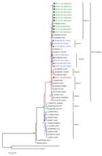 Thumbnail of Maximum-likelihood phylogenetic tree based on a 564-nt sequence of nucleoprotein genes of 18 rabies virus sequences from Mali, 2002–2013, and representative sequences from Mali (n = 2), northern Africa (n = 6), South Africa (n = 2), West Africa (n = 32), and central Africa (n = 5). Sequences obtained in this study are identified in green, blue, and red. Green squares indicate genotype G, blue triangles indicate genotype H, and red circles indicate genotype F. The tree is rooted with