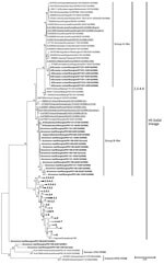 Thumbnail of Phylogenetic tree of the hemagglutinin (HA) genes of influenza A subtype H5 viruses from wild birds of Shanghai, China, 2013–2014. Boldface indicates viruses from this study; representative isolates are underlined and referred to in abbreviated form in brackets. A total of 109 HA gene sequences (≥1,594 nt) were used for tree reconstruction. Representative strains and clades are recommended by WHO/OIE/FAO H5N1 Evolution Working Group and were retrieved from Influenza Virus Resource D