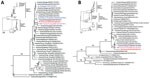 Thumbnail of Phylogenetic analysis of Eurasian avian-like influenza A/Hunan/42443/2015 virus (HuN EA-H1N1). A) Analysis of the hemagglutinin gene of representative clades of Eurasian avian-like H1N1 viruses. B) Analysis of the Polymerase basic 2 gene of influenza A(H1N1)pdm09 virus. Insets show evolutionary analyses for all lineages of subtype H1N1 viruses. The reliability of the trees was assessed via bootstrap analysis with 1,000 replications; only bootstrap values &gt;60% are shown. The horiz