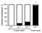 Thumbnail of Relationship between dose, infectivity, and preparation of Zika virus for Aedes aegypti mosquitoes. Quantitative reverse transcription PCR was used to test 12–25 processed Ae. aegypti mosquitoes for Zika virus 14 days after exposure to infectious blood meals containing various doses of Zika virus PR. Frozen stocks had been stored at −80°C and thawed before blood meal preparation, and fresh stocks were used directly after propagation without freezing. The difference in proportion inf