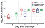 Thumbnail of log10 RNA level, by day after EBOV challenge, for each of 3 nonhuman primate models of Ebola virus disease. Box and whisker plots were created by using the available data for each day. Boxes indicate range from 25th (bottom line) to 75th (top line) percentiles; horizontal line within each box indicates median; whiskers indicate entire range of values (maximum to minimum). Dashed lines indicate limit of detection (LOD) (bottom line, 3.0 log10 RNA copies/mL) and lower limit of quantif