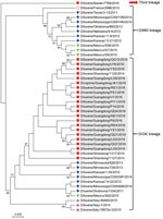 Thumbnail of Phylogenetic analysis of viruses from study of influenza D viruses in cattle, goats, buffalo, and pigs in Guangdong Province and neighboring provinces, China, compared with reference viruses. Partial hemagglutinin-esterase-fusion gene sequences (496 bp) were aligned by using ClustalW implemented in DNAStar software (DNAStar, Madison, WI, USA), and the phylogenetic tree was obtained using neighbor-joining method within MEGA 5.1 software (http://www.megasoftware.net). Numbers at nodes