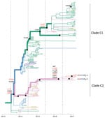 Thumbnail of Reconstruction of amino acid changes along trunk of lineage B phylogenies of influenza A(H7N9) viruses, China. Maximum clade credibility tree of hemagglutinin gene sequences from lineage B is shown. Branches are colored according to geographic locations, as in Figure 3. Thicker lines indicate the trunk lineage leading up to the current fifth influenza epidemic wave. Amino acid changes along the trunk are indicated. Red branches indicate sites undergoing parallel amino acid changes a