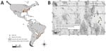 Thumbnail of Distribution of Rickettsia parkeri. A) Geographic records of R. parkeri in the Americas based on reports from the literature. We used a layer of Google Maps (www.google.com/maps/) for the construction of the figure. B) Area of study of Rickettsia in Mexico. Squares and triangles represent the sites where lagomorphs carrying ticks were captured.