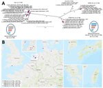 Thumbnail of Phylogenetic clustering and geographic distribution of highly pathogenic avian influenza A(H5N6) viruses, Europe, 2017–2018. A) Supernetwork generated by using maximum-likelihood trees of influenza virus full genomes with RAxML (https://cme.h-its.org/exelixis/web/software/raxml/index.html) and 1,000 bootstrap iterations followed by network analysis with SplitsTree4 (http://ab.inf.uni-tuebingen.de/software/splitstree4). Reassortant viruses are grouped according to their phylogenetic 