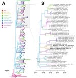 Thumbnail of Maximum clade credibility phylogenetic tree demonstrating migration history of Zika virus (ZIKV) Asian lineage, 2014–2018. A) Phylogeny of 459 ZIKV isolates. The tree base was removed for ease of presentation. Tips of tree are colored according to their sampling location and branches according to their most probable geographic location. Note that sequences from the 2016 Angola outbreak (23) were published during the later stages of preparation of this manuscript and therefore were n