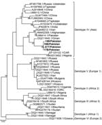 Thumbnail of Phylogeny of Crimean-Congo hemorrhagic fever virus, Pakistan, 2016–2017 (bold text), and reference viruses, based on partial small gene sequences. Numbers at branch nodes indicate bootstrap support values. GenBank accession numbers are provided for reference sequences. Scale bar indicates nucleotide substitutions per site.