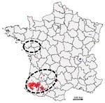 Distribution of highly pathogenic avian influenza H5N8 cases, France, 2016–17 (database of the French National Reference Laboratory for Avian Influenza). Blue indicates cases in wild birds; red indicates cases in domestic or captive birds. Dashed circles indicate zones of high duck farm density (34).