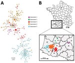 Minimum spanning tree and map of clusters of highly pathogenic avian influenza H5N8 genotype A viruses, France, 2016–17. A) Geographic clusters. Number of dashes indicates the number of observed mutations between 2 nodes. Circle size corresponds to the number of identical sequences. B) Geographic repartition of genotype in southwestern France. Inset shows identification numbers of affected departments: 12, Aveyron; 31, Haute-Garonne; 32, Gers; 47, Lot et Garonne; 40, Landes; 64, Pyrénées-Atlantiques; 65, Hautes-Pyrénées. Trees created using PopART (32).