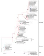 Maximum-likelihood phylogenetic tree of hemagglutinin genes of novel swine influenza A(H3N1) viruses from pigs on pig farms in 6 provinces of China (blue circles) and reference sequences from humans (red squares). The phylogeny of available sequences of related viruses from GenBank and GISAID database (https://www.gisaid.org) and the 6 HA genes sequenced in this study were inferred by using MEGA version 7 (https://www.megasoftware.net) under the general time-reversible plus gamma distribution model with 1,000 bootstrap replicates. Scale bar indicates substitutions per nucleotide.