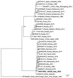 Phylogenetic tree of a representative tick-borne encephalitis virus (boldface) from samples collected from a wild chamois and ticks in the Lombardy region of Italy. Tree shows the relationship between the obtained sequence of a 224-bp portion of the nonstructural 5 gene and reference sequences from GenBank (accession numbers, country, and year of isolation provided). The phylogenetic analysis was performed on the homologous sequences by the maximum-likelihood method using IQ-TREE software (http://www.iqtree.org), after alignment.