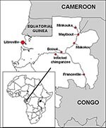 Thumbnail of Geographic distribution of the three Ebola virus hemorrhagic fever epidemics and site of the infected chimpanzee in Gabon.