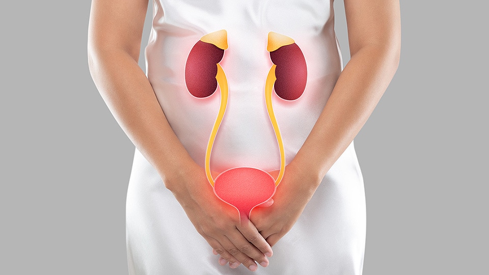 Close-up of a woman's torso, hands on her abdomen. Illustration shows her kidneys and bladder overlaid.