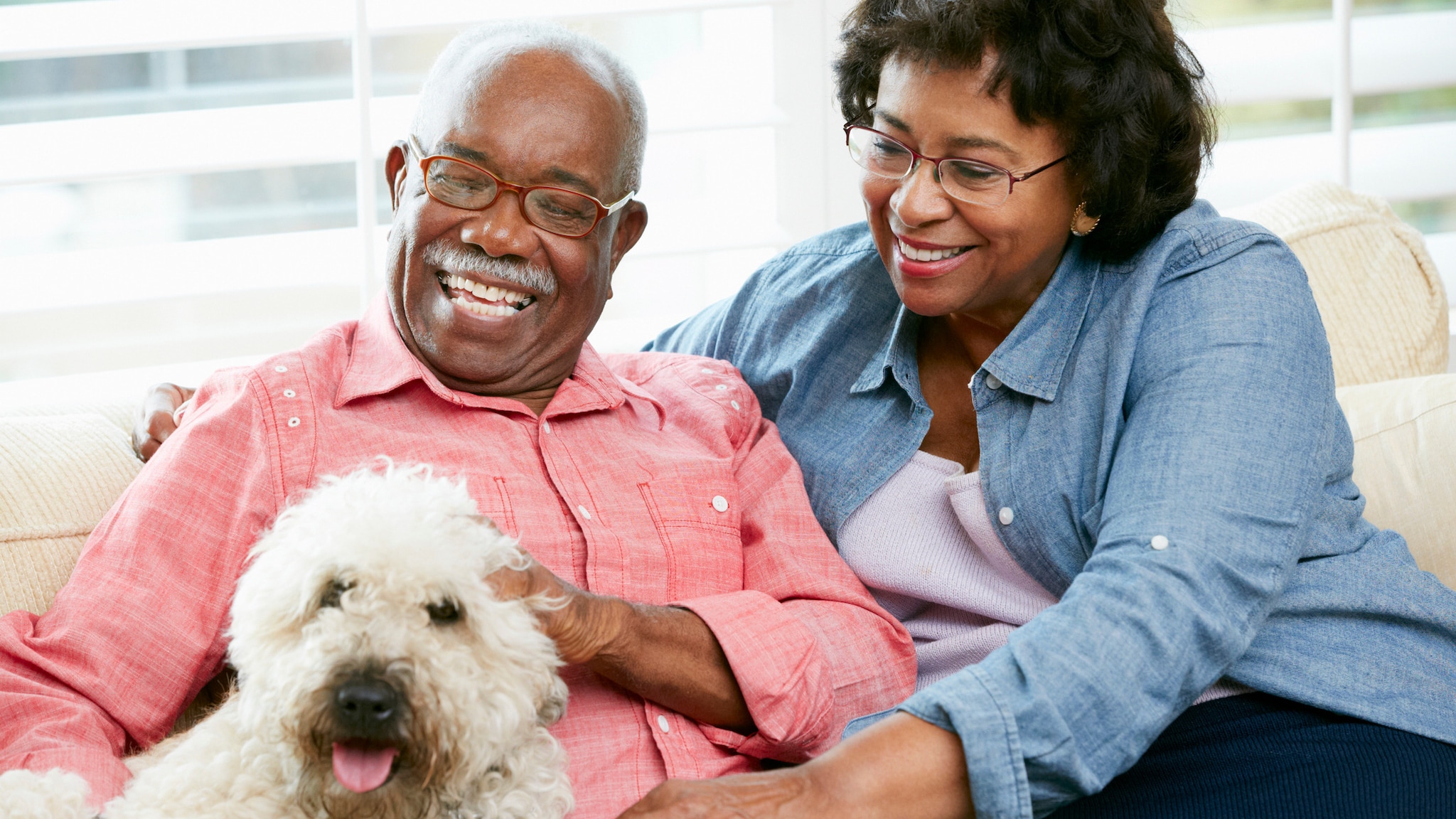 An older couple smiles at a white dog on a couch