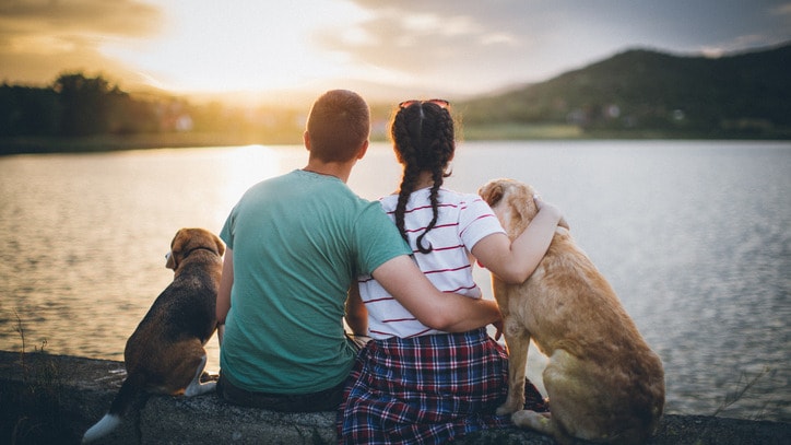 A man and woman sit in front of a lake watching a sunset with two dogs