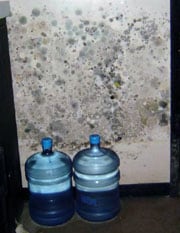 dos botellas pl%26aacute;sticas de agua frente a una pared cubierta con moho