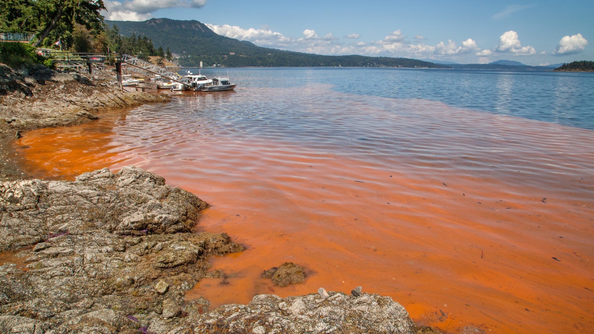 Red-orange water in a bay with a rocky shore