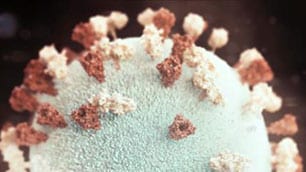 Mumps virus, one viral cause of meningitis.