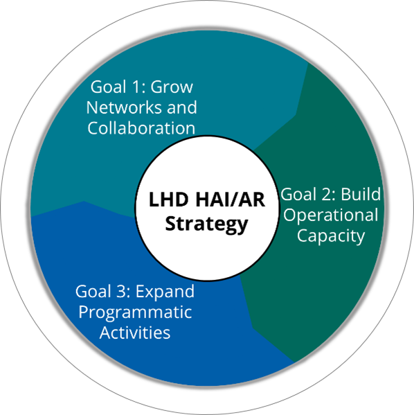 Goal 1: Grow Networks & Collaboration. Goal 2: Build Operational Capacity. Goal 3: Expand Programmatic Activities.