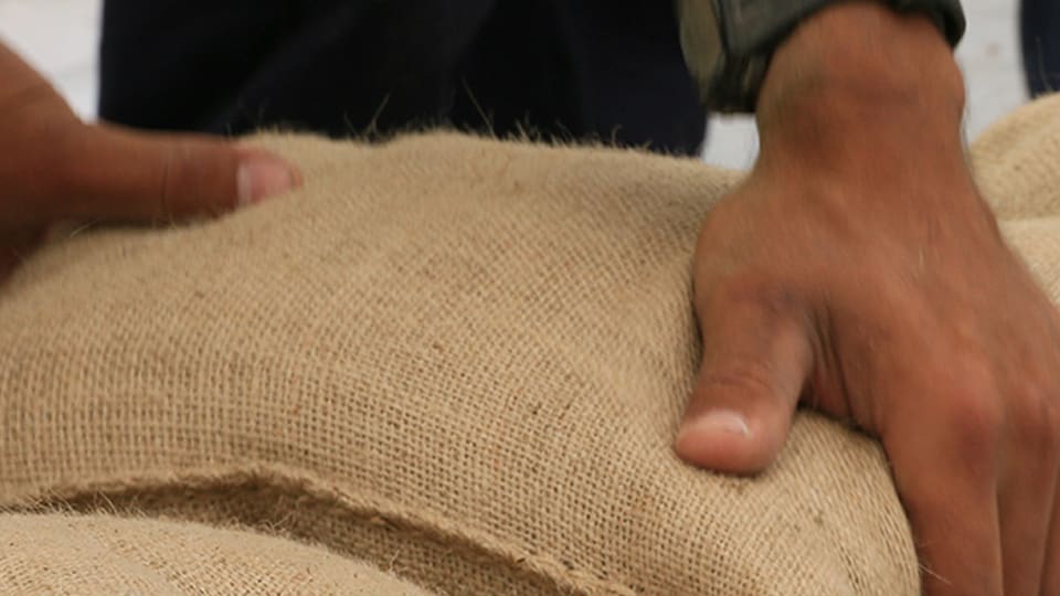 Close-up of hands picking up a burlap bag of grain.