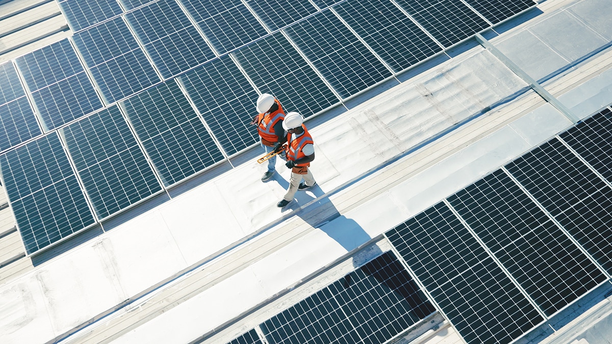 Workers walking between renewable energy solar panels