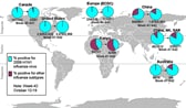 This picture depicts a map of the world that shows the co-circulation of 2009 H1N1 flu and seasonal influenza viruses. The United States, Canada, Europe, Australia, Kenya, China and Hong Kong (China) are depicted. There is a pie chart for each that shows the percentage of laboratory confirmed influenza cases that have tested positive for either 2009 H1N1 flu or other influenza subtypes. The majority of laboratory confirmed influenza cases reported in the United States, Canada, Europe, Australia, Kenya, China and Hong Kong (China) have been 2009 H1N1 flu. 