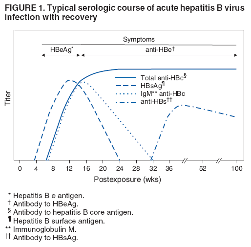 FIGURE 1. Typical serologic course of acute hepatitis B virus
infection with recovery