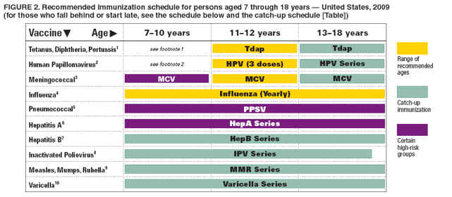 FIGURE 2. Recommended immunization schedule for persons aged 7 through 18 years  United States, 2009
(for those who fall behind or start late, see the schedule below and the catch-up schedule [Table])