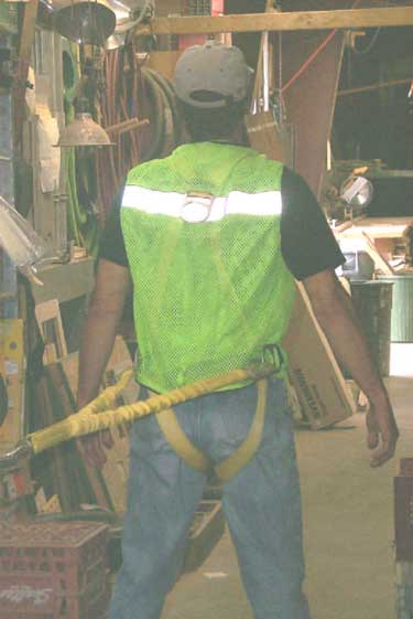 Photo F. Picture of back of harness. Note clips can hook to sides of harness or to a back loop in the vest.