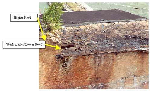 Figure 1. The roof of the building.