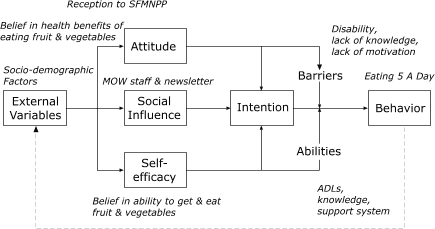 Triangulation of Seattle Senior Farmers' Market Nutrition Pilot Program Study Findings, 2001, with Attitude, Social Influence and Self-Efficacy (ASE) Model. MOW = Meals on Wheels, ADL = Activities of daily living. ASE model adapted from Brug et al (15). Reprinted with permission from Elsevier.