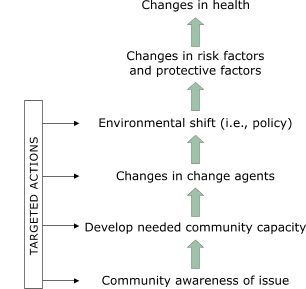 This flowchart shows the Racial and Ethnic Approaches to Community Health (REACH) 2001 model adapted by the Southwest Center for Community Health Promotion. Arrows show a hierarchy of six factors, starting at the bottom with "Community awareness of issue." Second from the bottom is "Develop needed community capacity." Third is "Changes in change agents." Fourth is "Environmental Shift (i.e., policy)." Fifth is "Changes in risk factors and protective factors." Sixth, and at the top of the list of factors is "Changes in health."  Targeted actions take place at the lower four levels, beginning with "Community awareness of issues" and ending with "Environmental shift (i.e., policy). Arrows point from "Targeted Actions" to these four factors.