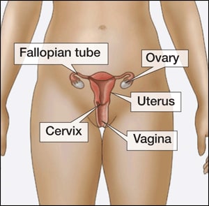 chlamydia signs and symptoms