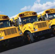 School buses