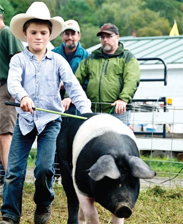 Young boy in a cowboy hat holding a guiding stick runs alongside a large black and white hog