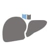icon of a liver