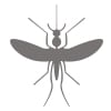 icon of mosquito