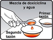 Imagen de la mano de una persona poniendo en un segundo taz&oacute;n la cantidad espec&iacute;fica de la mezcla de doxiciclina y agua que corresponde a la dosis correcta.