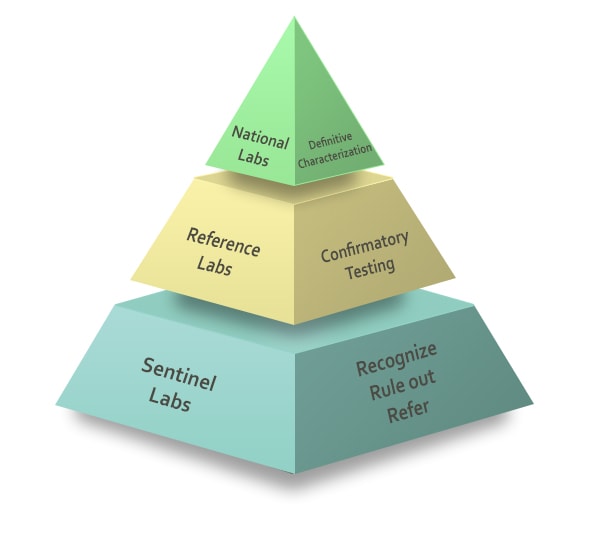 Pyramid representing the Laboratory Response Network - National Labs (top), Reference Labs (middle) and Sentinel Labs (bottom).