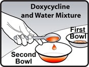 Image of person putting the specific amount of doxycycline and water mixture that corresponds with the correct dose, into a second bowl.