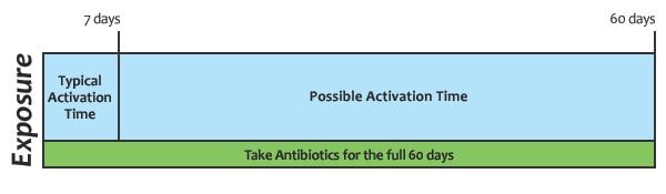 A timeline graphic to illustrate that anthrax spores can activate up to 60 days after exposure.
